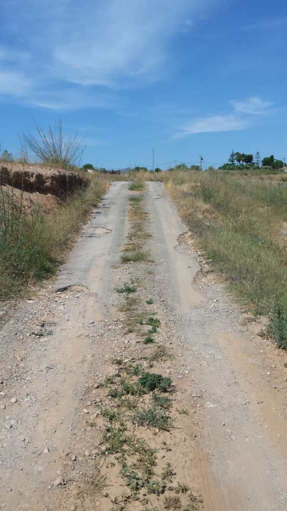 camino rural