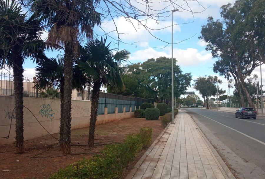 Vía Pública acondiciona parterres y repone arbolado en el Polígono de Santa Ana 1 Vía Pública acondiciona parterres y repone arbolado en el Polígono de Santa Ana